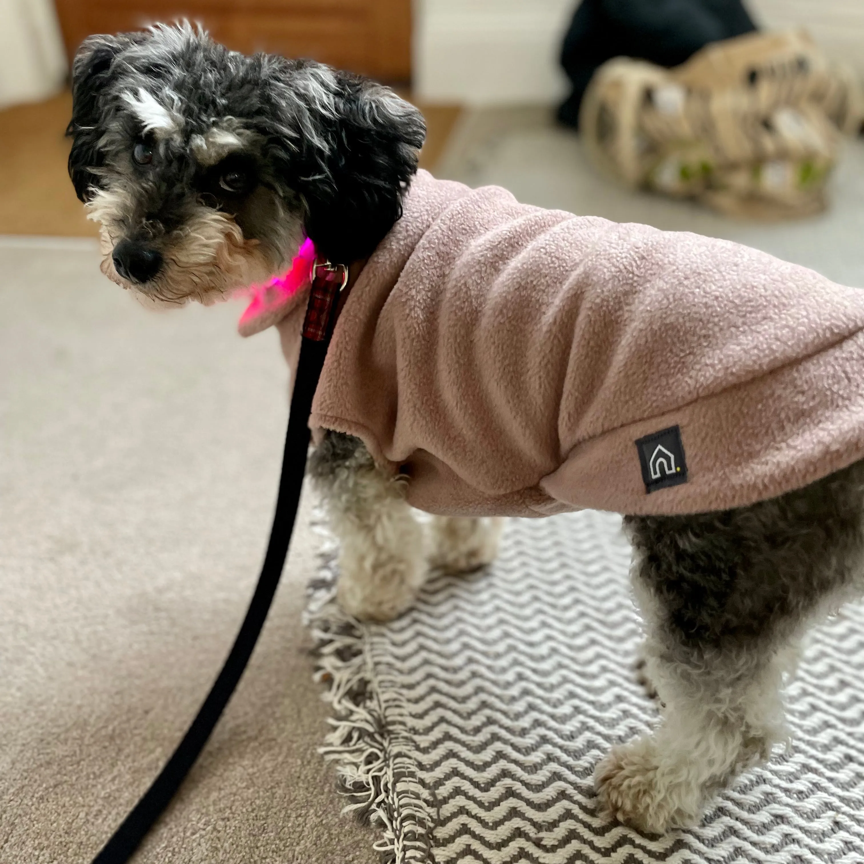 Small Breed Dog Fleece Jumper